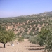 Villanueva De Algaidas property: Villanueva De Algaidas, Spain Land 256313