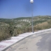 Cuevas Bajas property: Cuevas Bajas, Spain Land 256314