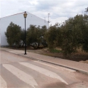 Antequera property: Land for sale in Antequera 256319