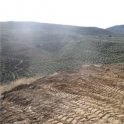 Castillo De Locubin property: Land for sale in Castillo De Locubin 256323