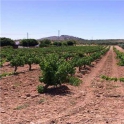 Mollina property: Land for sale in Mollina 256324
