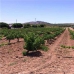 Mollina property: Land for sale in Mollina 256324