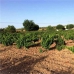 Mollina property: bedroom Land in Malaga 256324