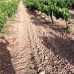 Mollina property: Land in Malaga 256324