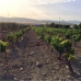Mollina property: Land in Mollina 256324