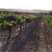 Mollina property: Malaga Land, Spain 256324