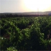 Mollina property: Beautiful Land for sale in Malaga 256324