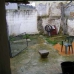 Alcaudete property: Alcaudete Townhome, Spain 256380