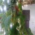 Alcaudete property: 2 bedroom Townhome in Alcaudete, Spain 256403