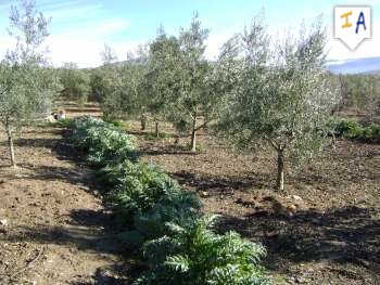 Ventorros De San Jose property: Ventorros De San Jose, Spain | Townhome for sale 256406