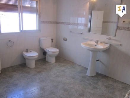 Alameda property: Alameda Townhome 256429