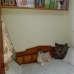 Sierra De Yeguas property: Beautiful Townhome for sale in Sierra De Yeguas 256519