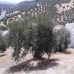 Castillo De Locubin property: Townhome in Jaen 256573
