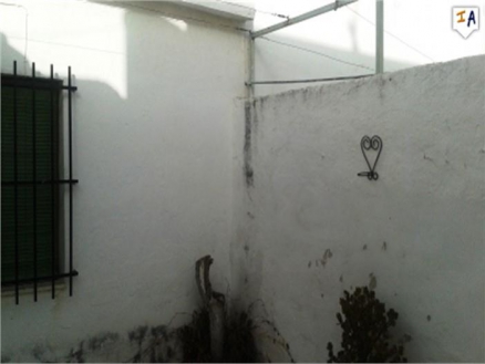 town Townhome 256598