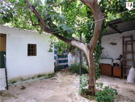 Townhome with 4 bedroom in town 256607