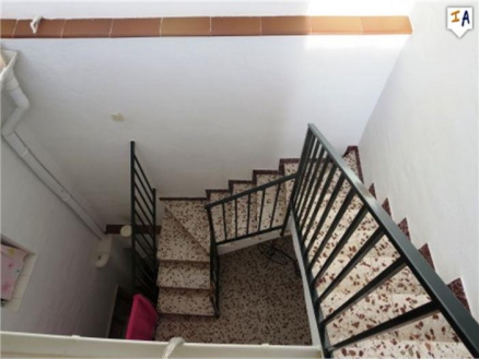 town Townhome 256614
