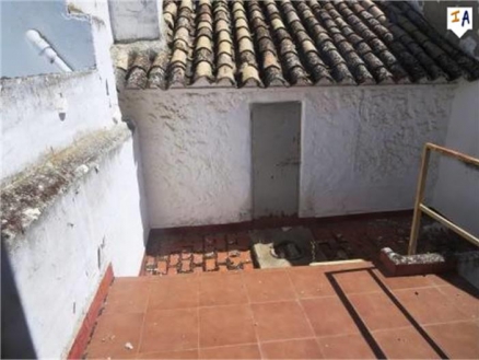 Alameda property: Malaga Townhome 256713