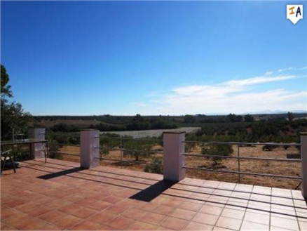 Villa with 3 bedroom in town 256762