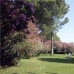 3 bedroom Villa in town, Spain 256781