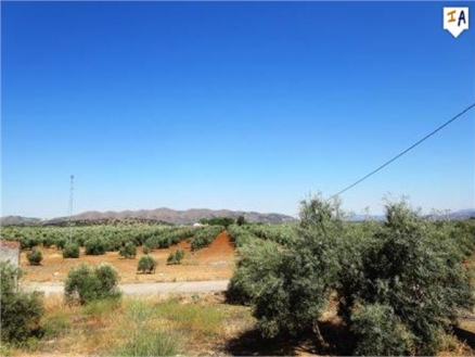 Loja property: Villa for sale in Loja, Granada 256785