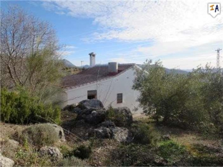 Villanueva De La Concepcion property: Villa with 3 bedroom in Villanueva De La Concepcion 256805