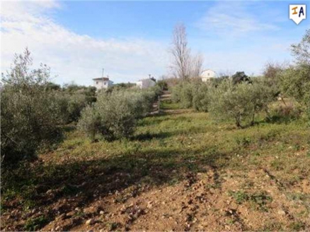 Villanueva De La Concepcion property: Villanueva De La Concepcion Villa 256805