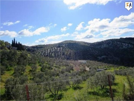 Villa for sale in town,  256812