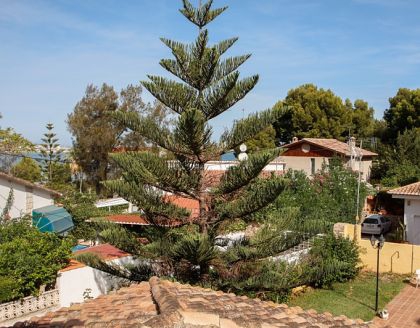 Denia property: Denia, Spain | Villa for sale 257175