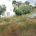 Castillo De Locubin property: Castillo De Locubin, Spain Farmhouse 257283