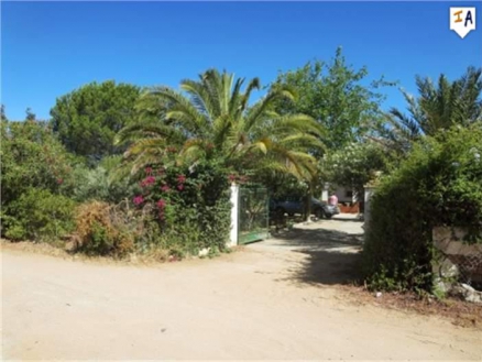 Villa for sale in town 257298
