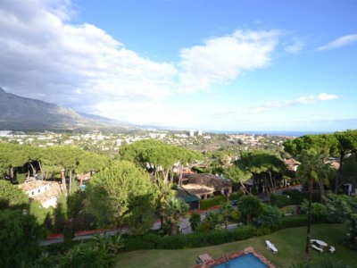 Nueva Andalucia property: Penthouse for sale in Nueva Andalucia 257635