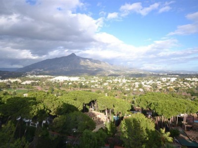 Nueva Andalucia property: Nueva Andalucia Penthouse 257635