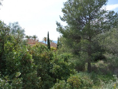 Marbella property: Land for sale in Marbella 257641