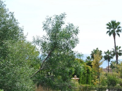 Marbella property: Land for sale in Marbella, Spain 257641