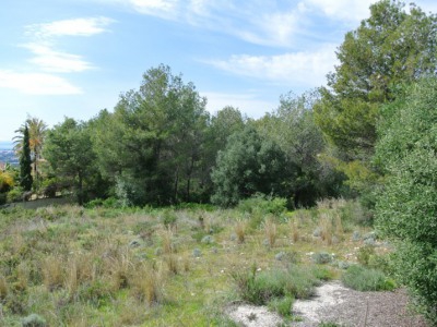 Marbella property: Land for sale in Marbella, Malaga 257641