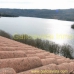 9+ bedroom Commercial in province 257917