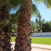 Hondon de las Nieves property: Villa in Alicante 258150