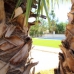 Hondon de las Nieves property: Alicante Villa, Spain 258150