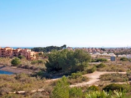Villamartin property: Alicante Apartment 259295
