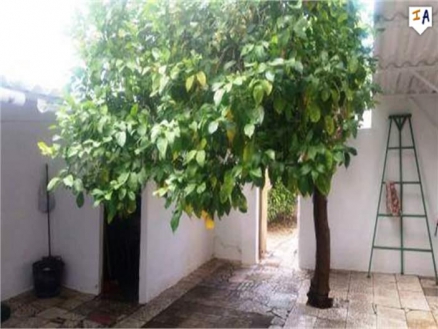 Villanueva De Algaidas property: Townhome with 4 bedroom in Villanueva De Algaidas 260229
