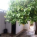 Villanueva De Algaidas property: 4 bedroom Townhome in Villanueva De Algaidas, Spain 260229