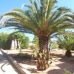 Calpe property: Calpe Villa, Spain 260307