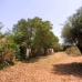 Chiclana De La Frontera property: Beautiful Villa for sale in Chiclana De La Frontera 260491