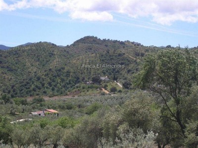 Coin property: Farmhouse with 3 bedroom in Coin 260504