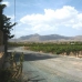 Albatera property: Albatera, Spain Finca 260523