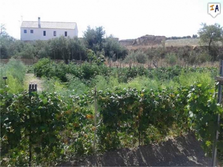 Farmhouse with 6 bedroom in town 260637