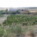 town, Spain Farmhouse 260637
