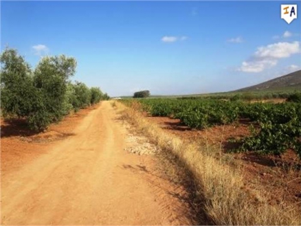 Mollina property: Land with bedroom in Mollina 260639