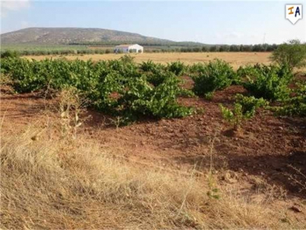 Mollina property: Land for sale in Mollina, Malaga 260639