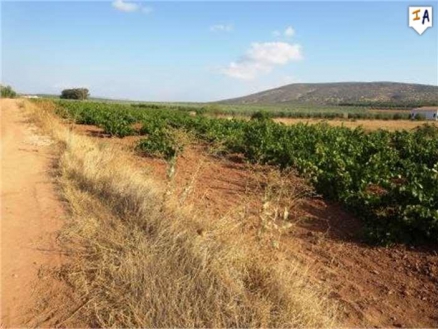 Mollina property: Land in Malaga for sale 260639